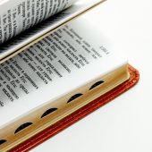 Библия каноническая (переплет из иск. кожи; рисунок обложки: бабочки)